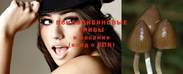 эйфоретик Верхний Тагил