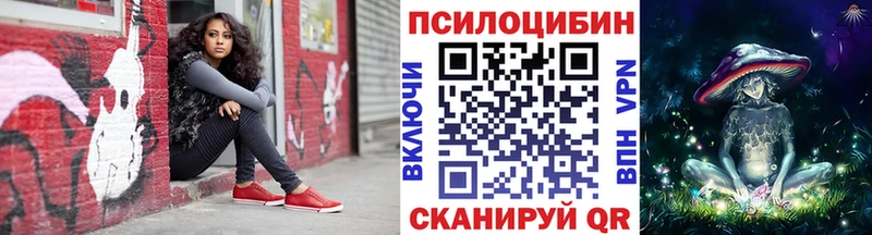 Купить закладки  Ряжск  Галлюциногенные грибы MAGIC MUSHROOMS 